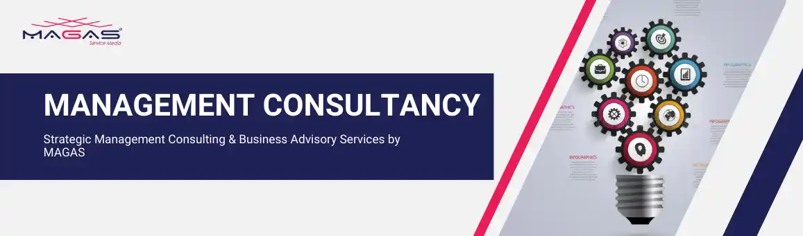 Management Consultancy